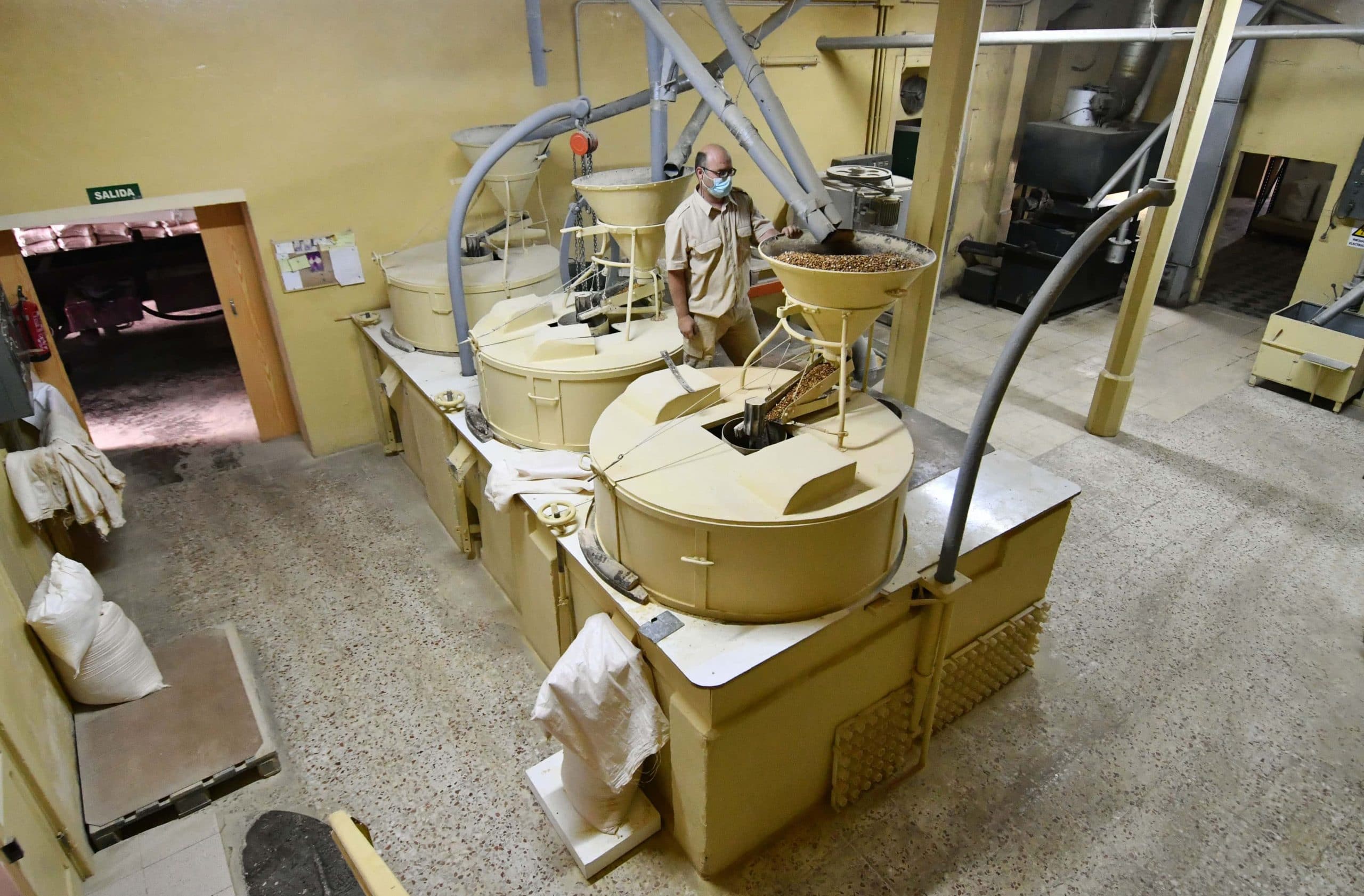 comprar-gofio-gran-canaria