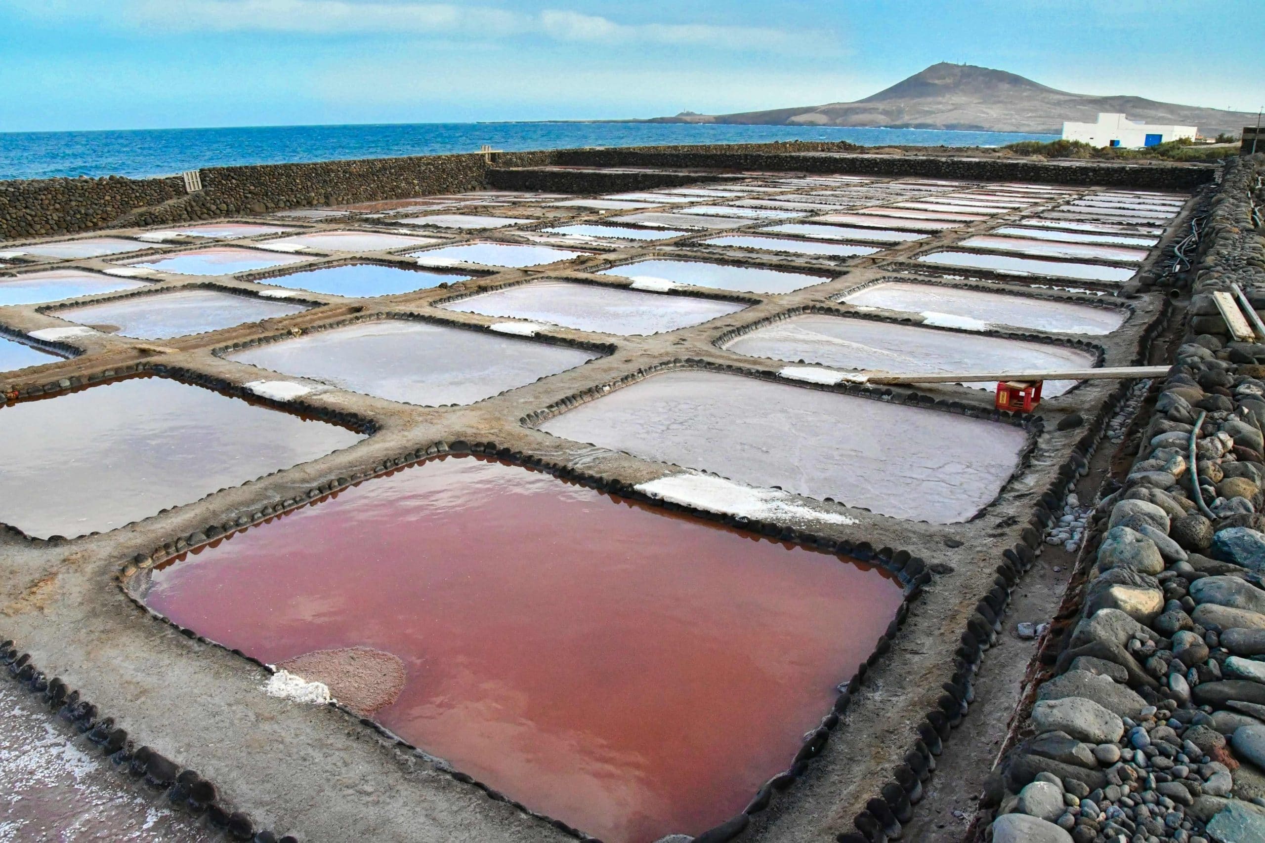 salinas-gran-canaria-boca-cangrejo