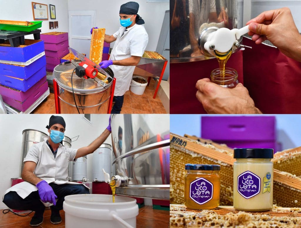 ivan-santana-colmenar-violeta-04