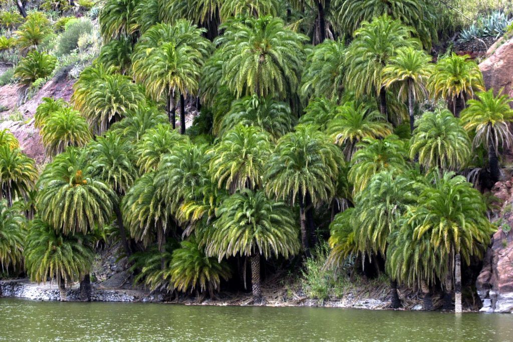 como-llegar-presa-sorrueda-yaiza-socorro