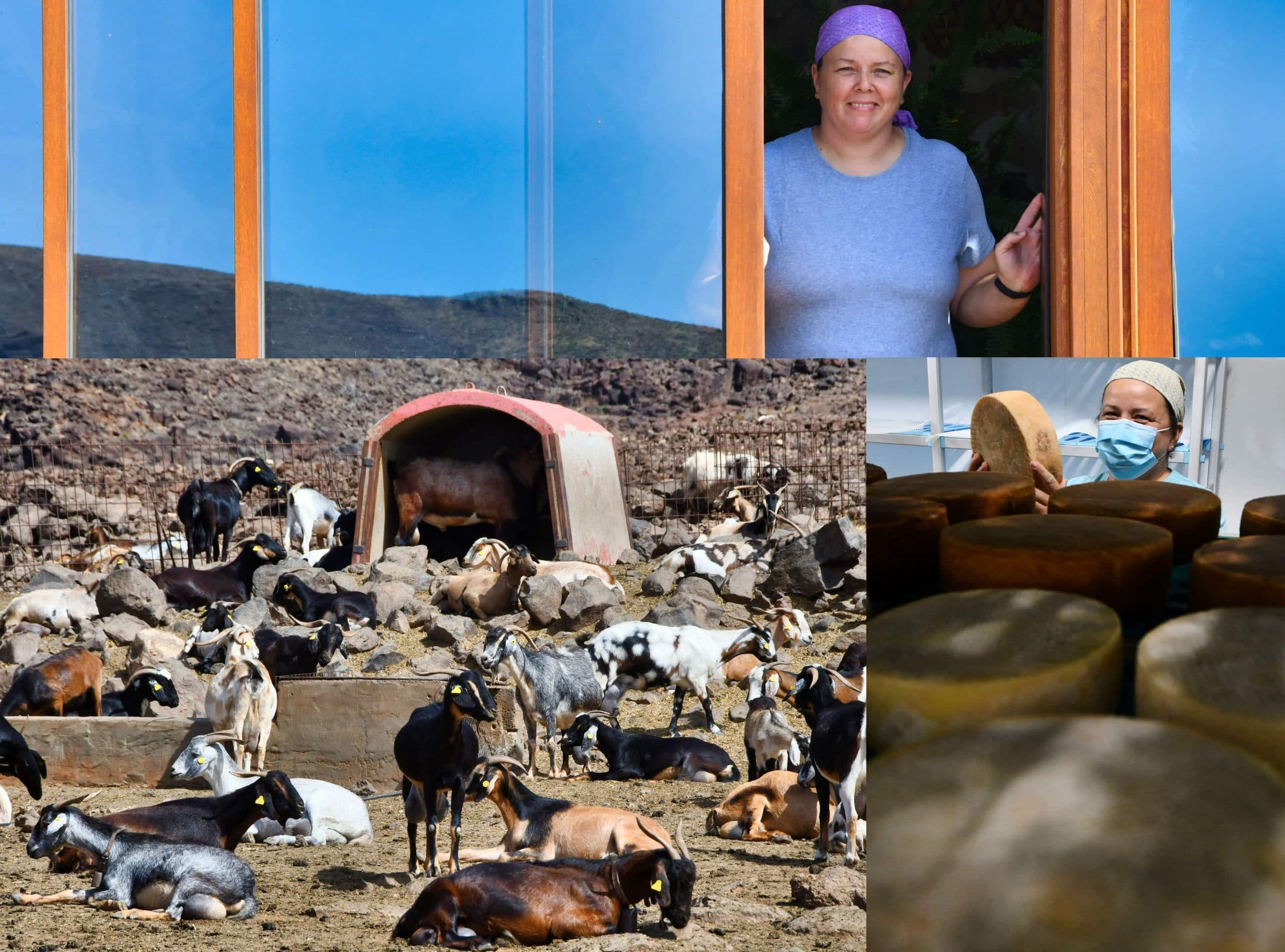 queseria-era-del-cardon-01