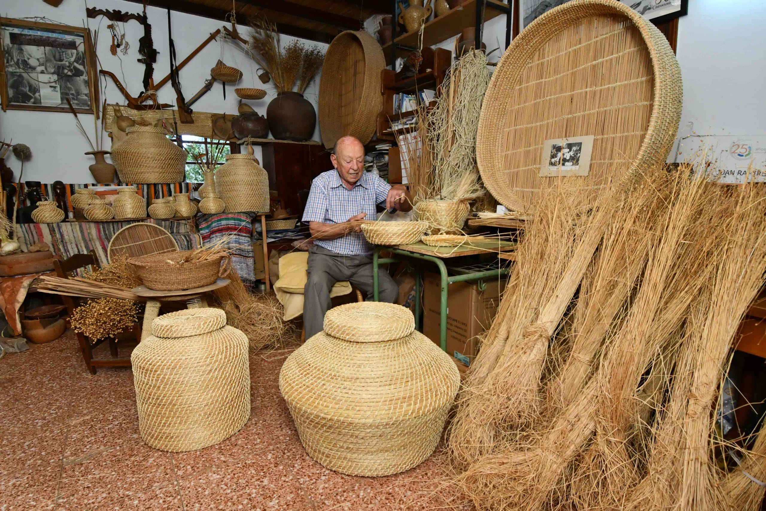 juan-ramirez-cestero-canario-02