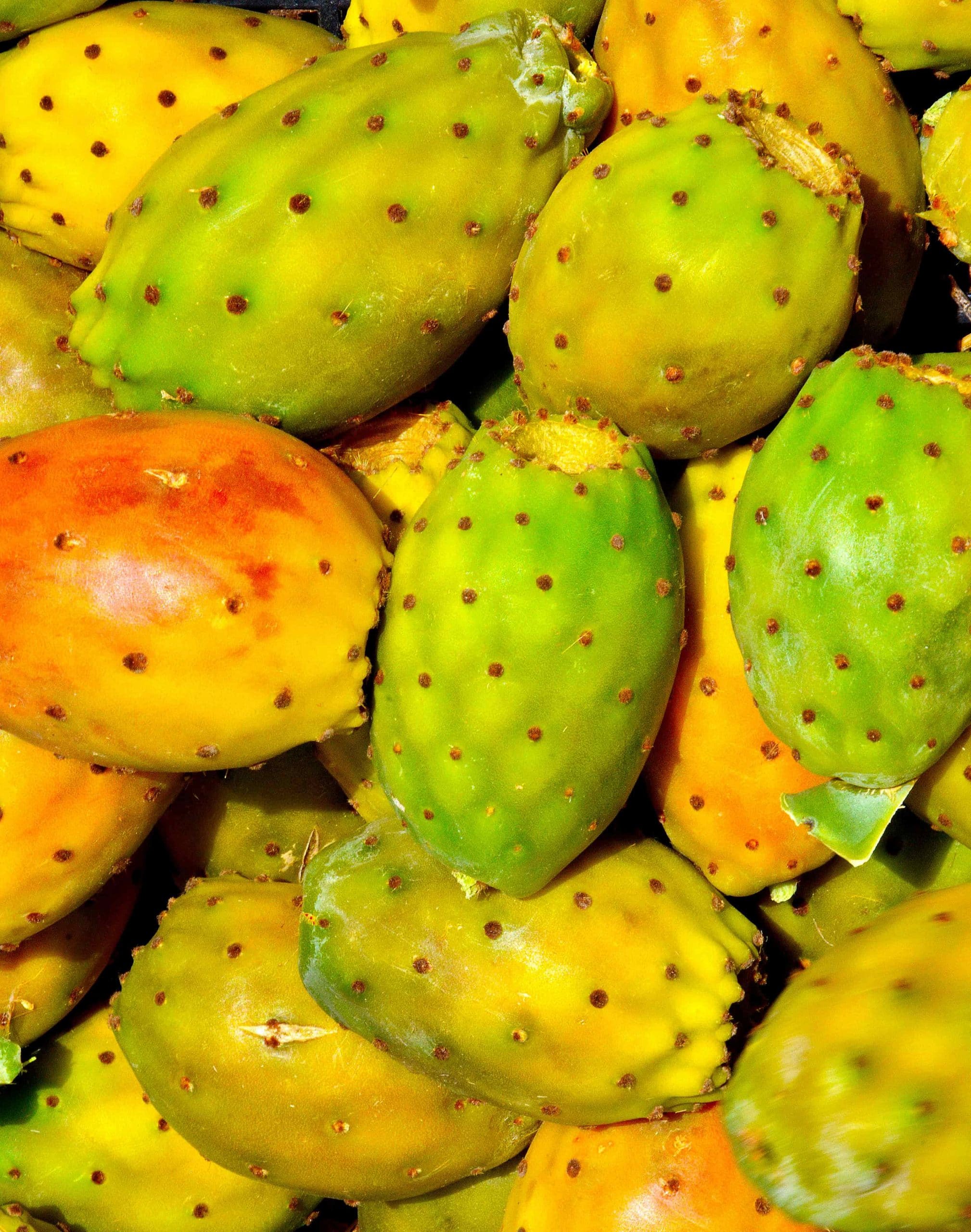 ronda-de-tunos-palabras