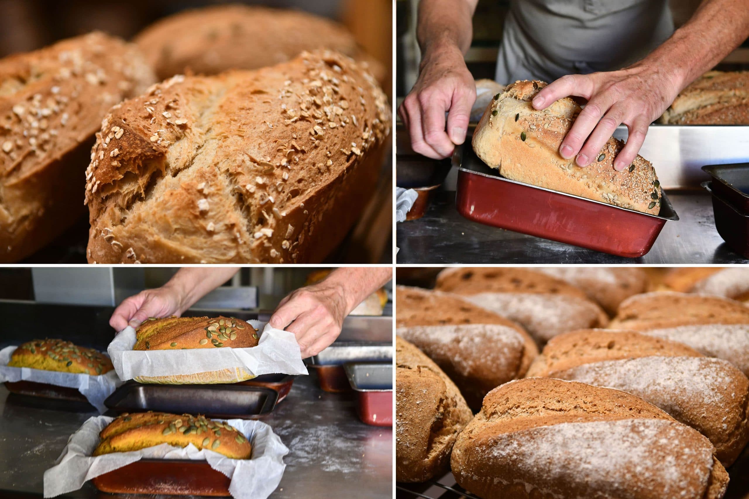 panaderia-valsequillo-06