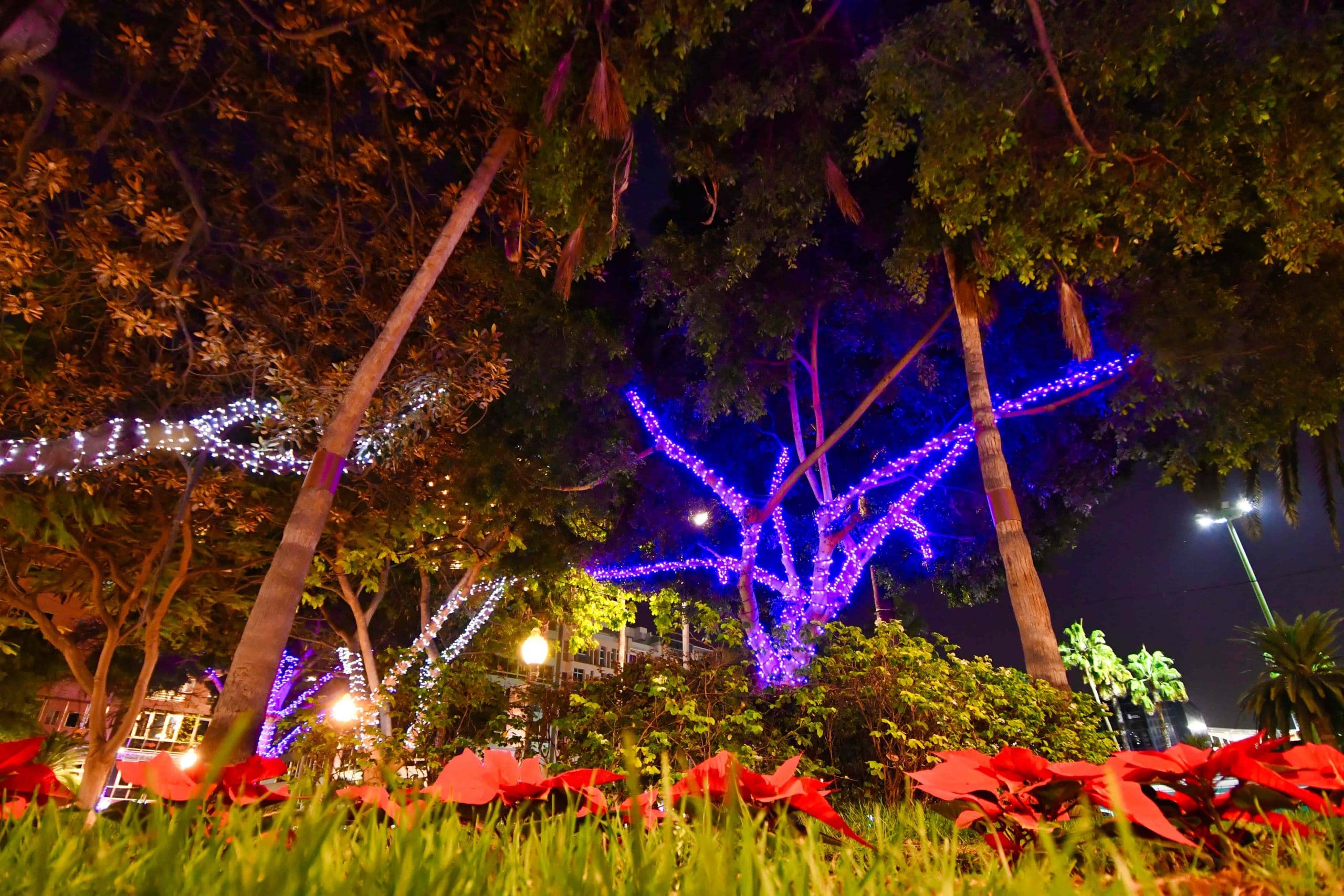 luces-navidenas-canarias-2021-02