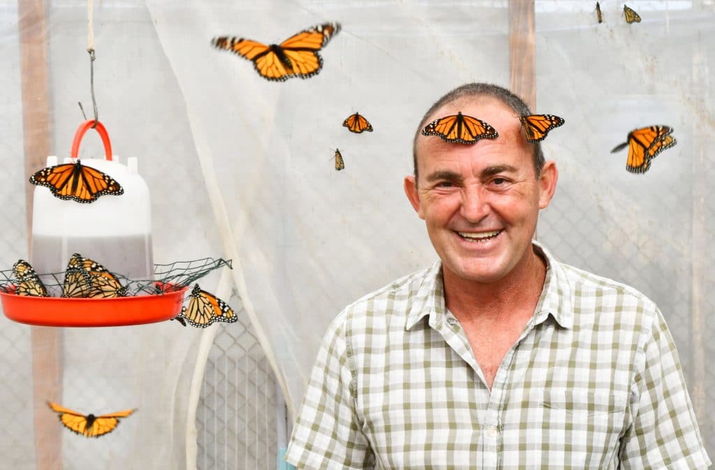 flores-que-vuelan-02