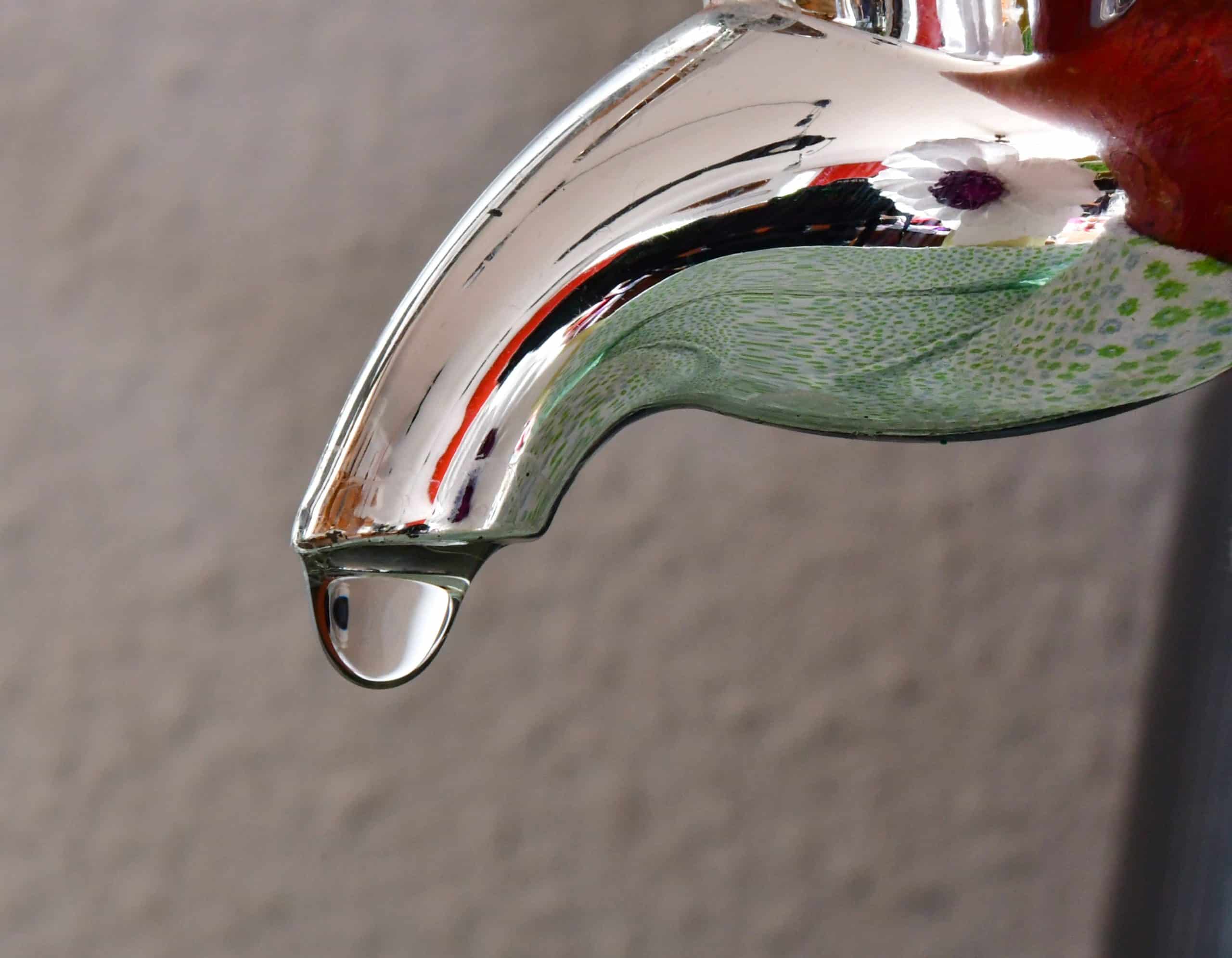 la-gota-cuento-loreto-socorro