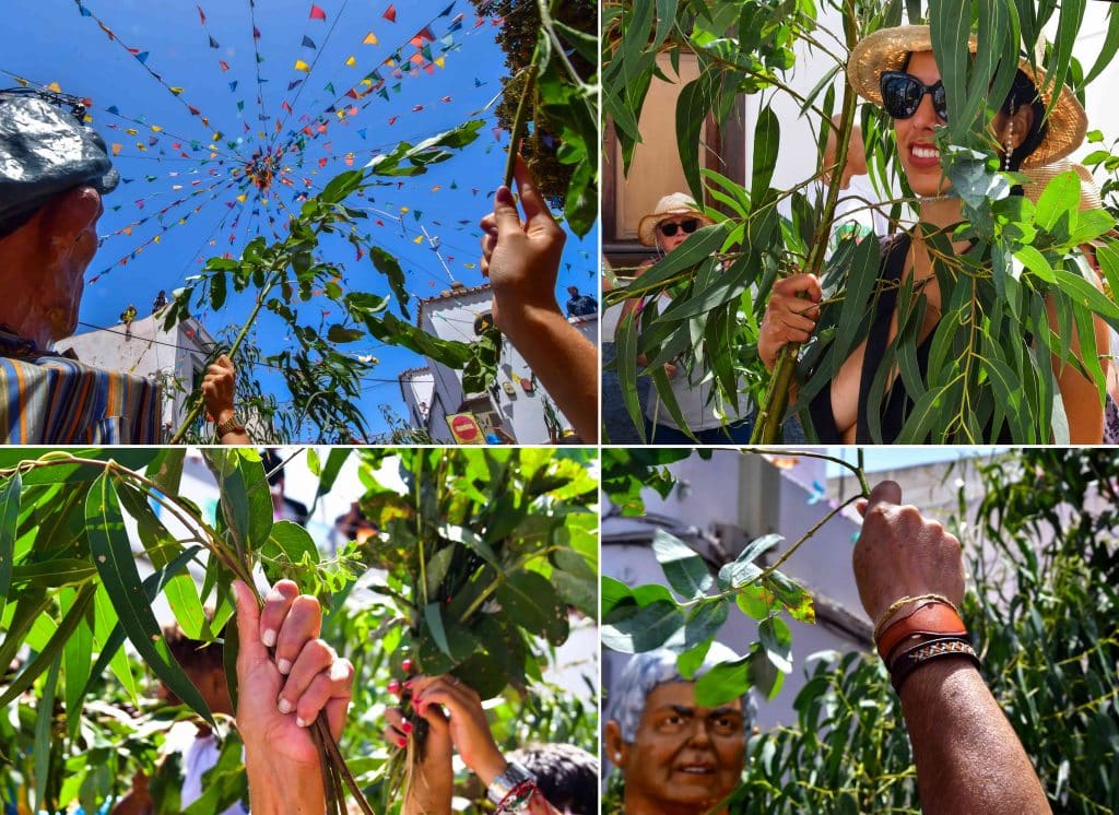 la-rama-agaete-2022-012