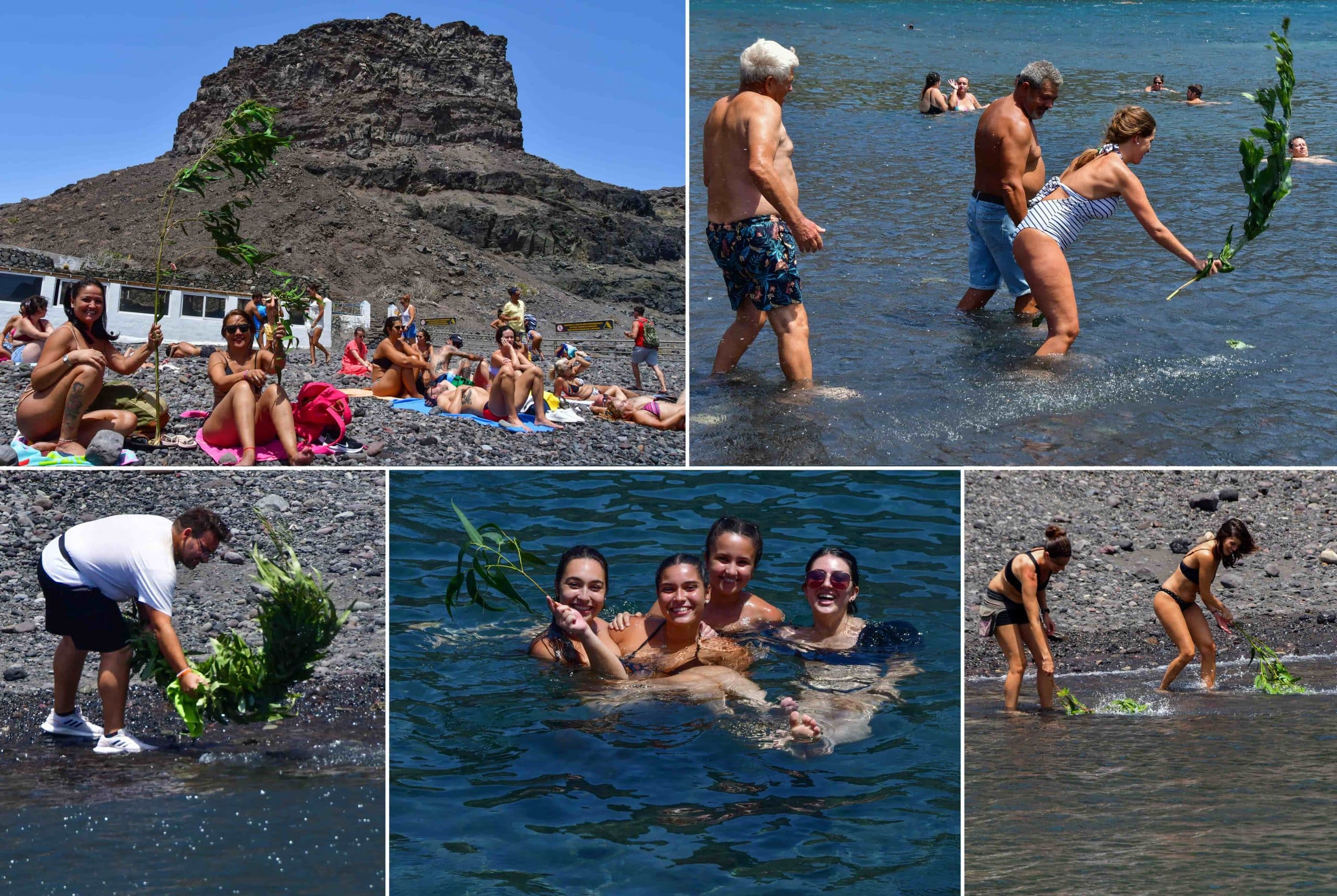 la-rama-agaete-2022-02