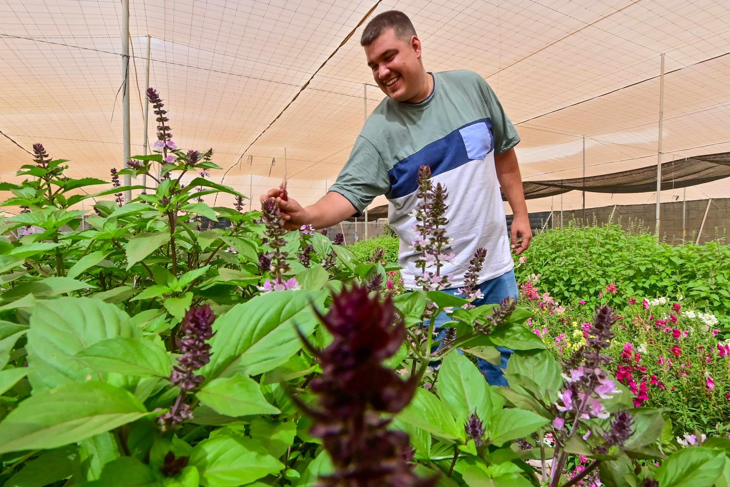 canarias-chef-select-02