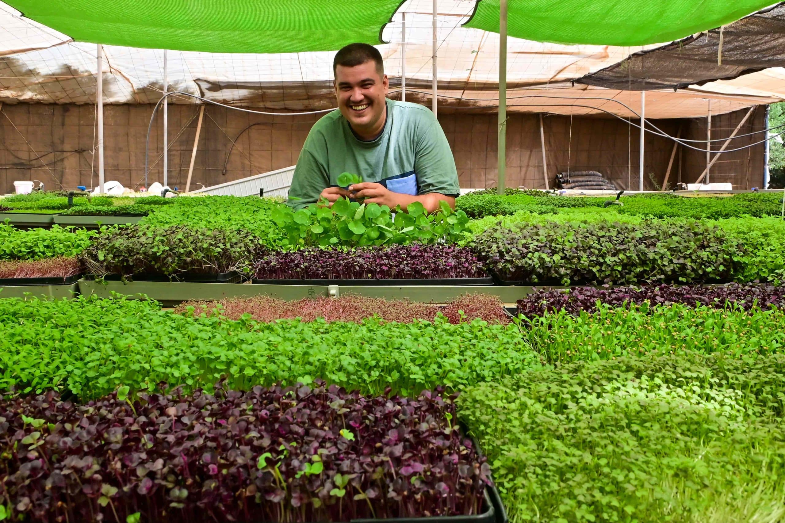 canarias-chef-select-03