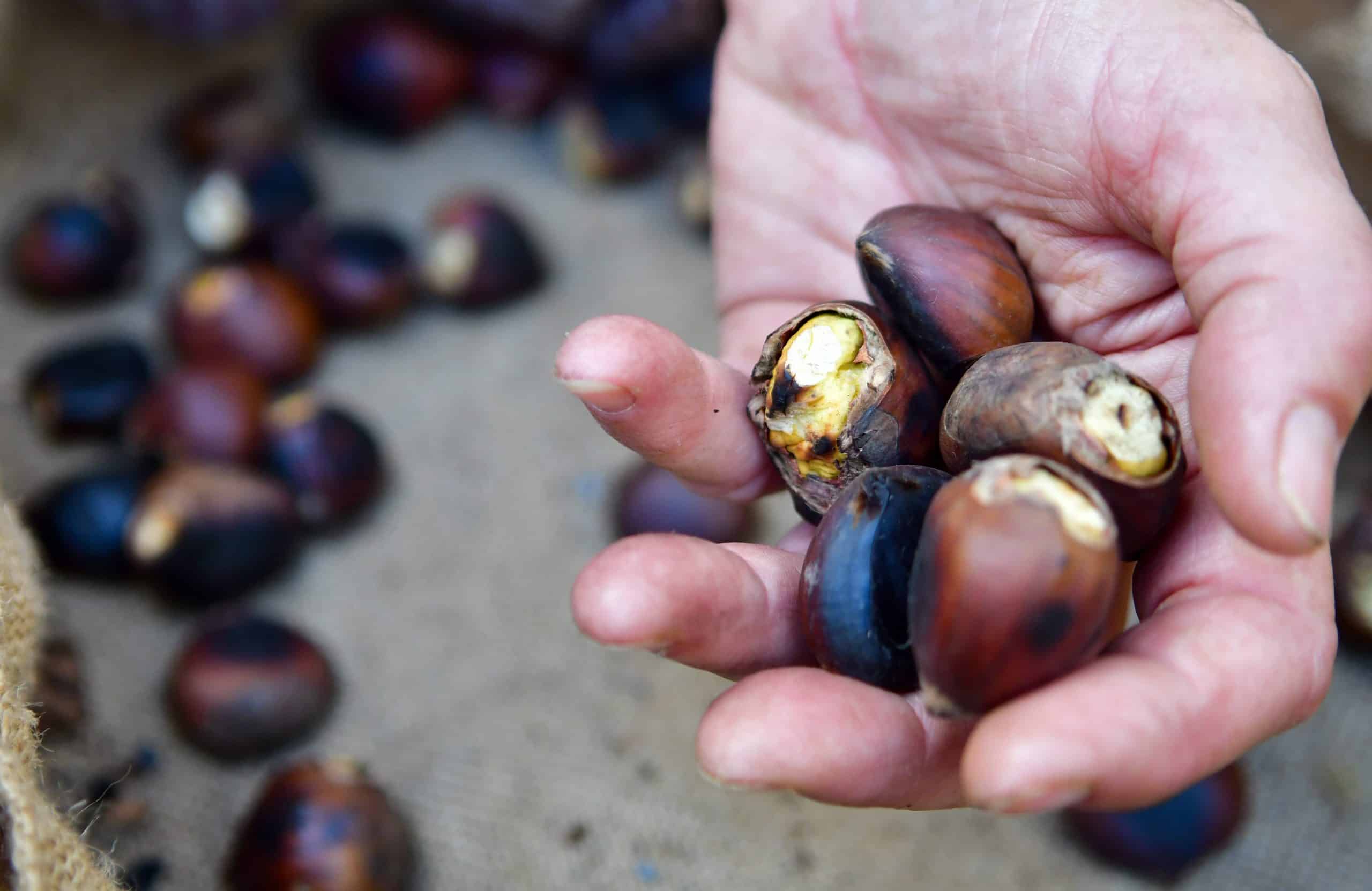 fiesta-finaos-canarias-05