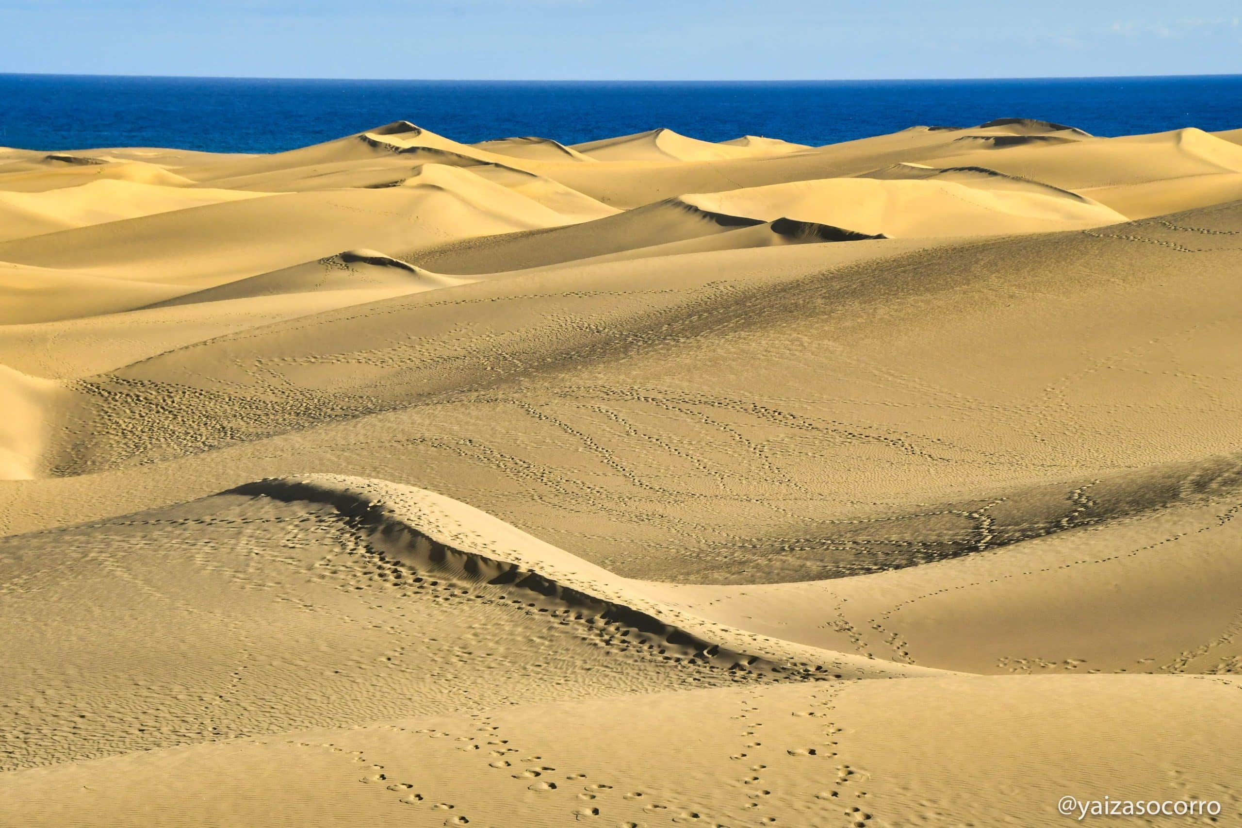 dunas-maspalomas-04