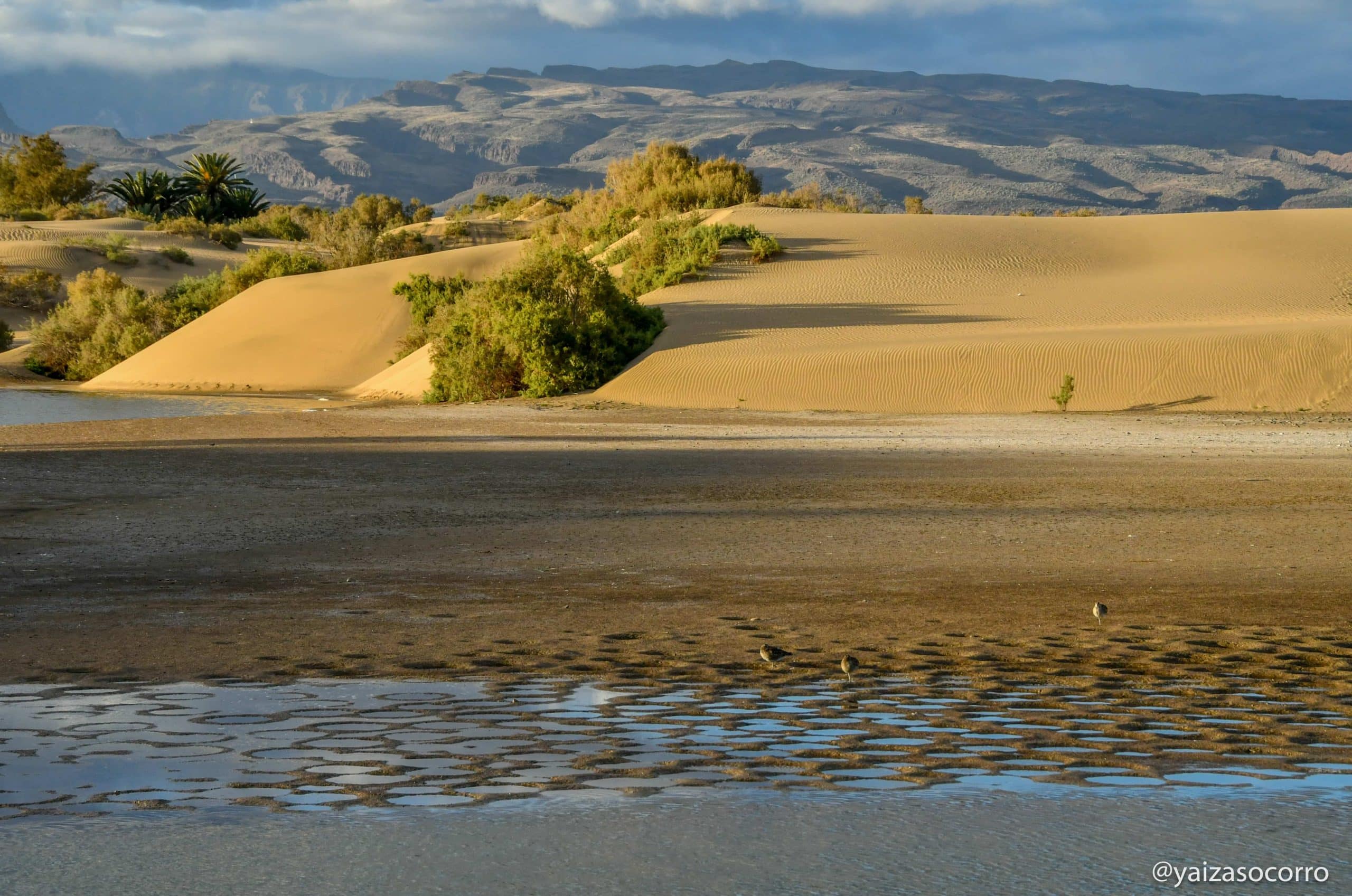 dunas-maspalomas-08