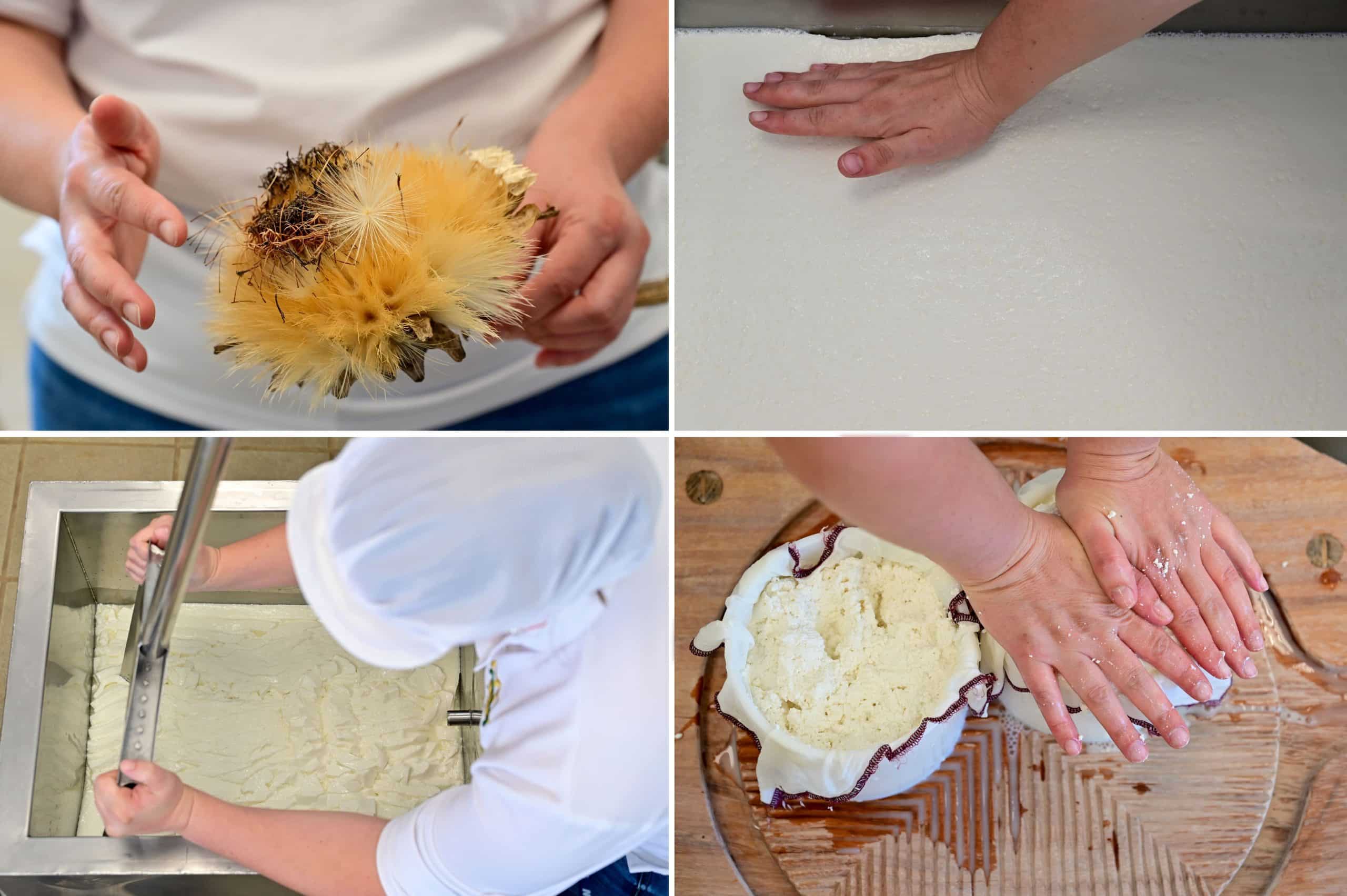 proquenor-queserias-norte-gran-canaria-04