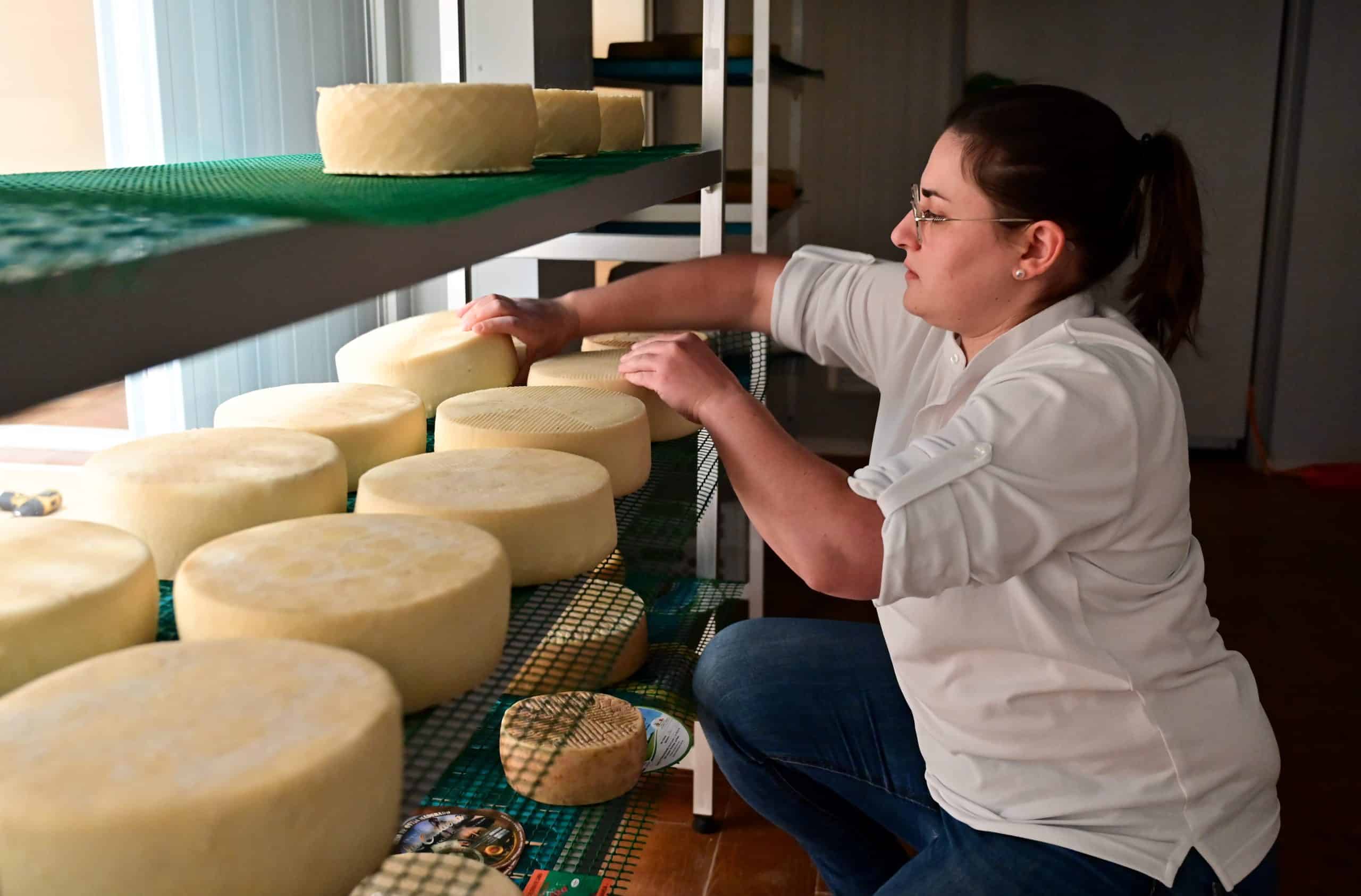 proquenor-queserias-norte-gran-canaria-06