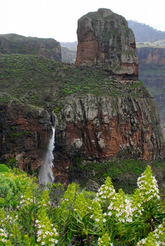 CASCADA INGENIO DE TEJEDA ARCHIVO01