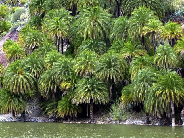como-llegar-presa-sorrueda-yaiza-socorro